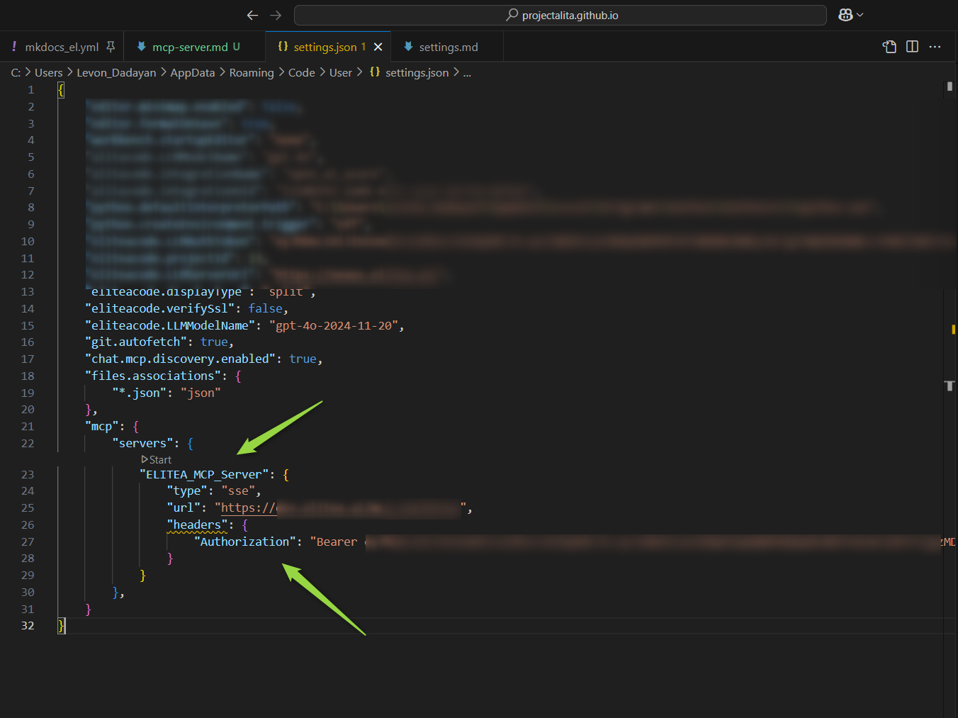 Add Token to settings.json